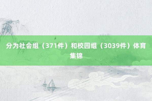 分为社会组（371件）和校园组（3039件）体育集锦