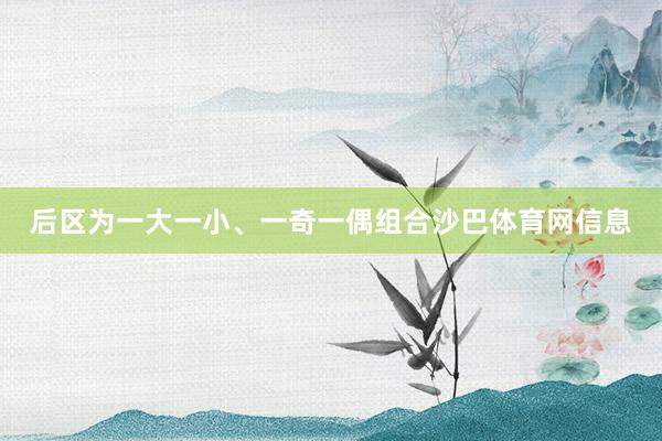 后区为一大一小、一奇一偶组合沙巴体育网信息