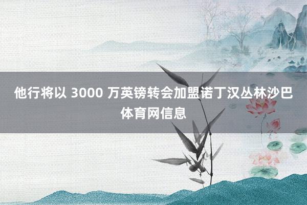 他行将以 3000 万英镑转会加盟诺丁汉丛林沙巴体育网信息