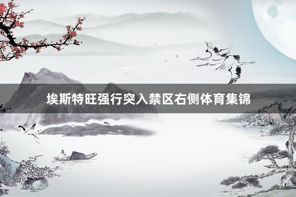 埃斯特旺强行突入禁区右侧体育集锦