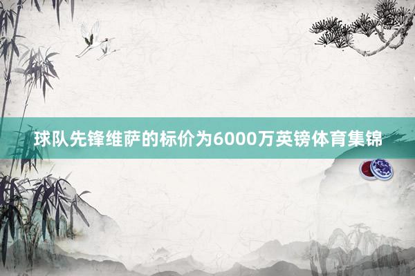 球队先锋维萨的标价为6000万英镑体育集锦
