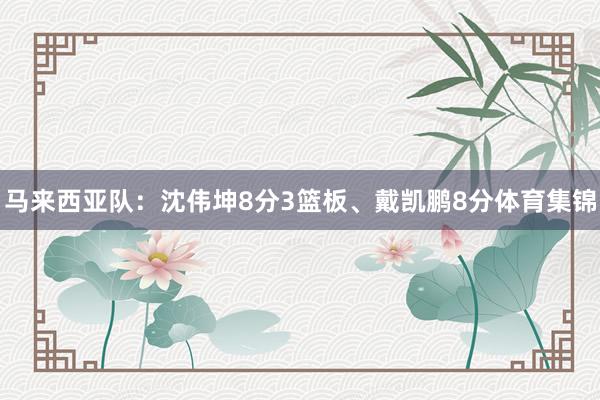 马来西亚队：沈伟坤8分3篮板、戴凯鹏8分体育集锦