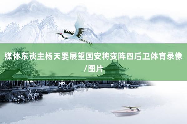 媒体东谈主杨天婴展望国安将变阵四后卫体育录像/图片