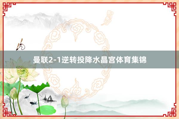 曼联2-1逆转投降水晶宫体育集锦