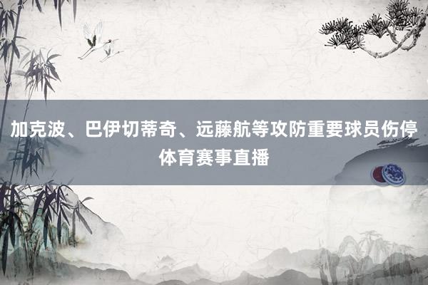 加克波、巴伊切蒂奇、远藤航等攻防重要球员伤停体育赛事直播