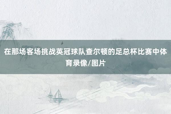 在那场客场挑战英冠球队查尔顿的足总杯比赛中体育录像/图片