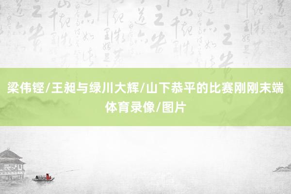 梁伟铿/王昶与绿川大辉/山下恭平的比赛刚刚末端体育录像/图片