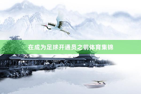 在成为足球开通员之前体育集锦