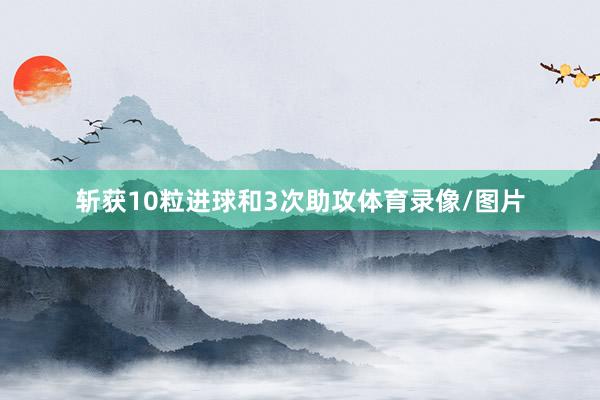 斩获10粒进球和3次助攻体育录像/图片