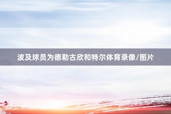 波及球员为德勒古欣和特尔体育录像/图片