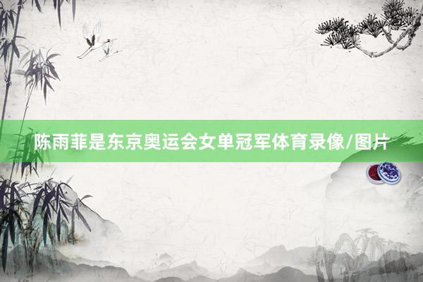陈雨菲是东京奥运会女单冠军体育录像/图片