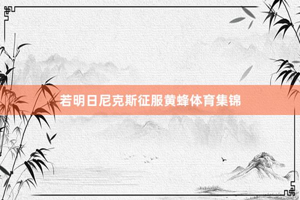 若明日尼克斯征服黄蜂体育集锦