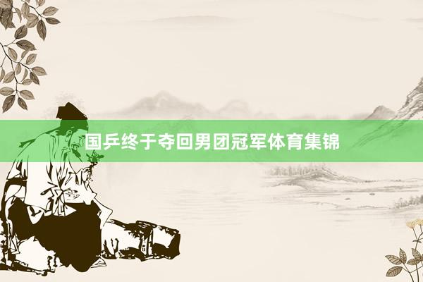 国乒终于夺回男团冠军体育集锦