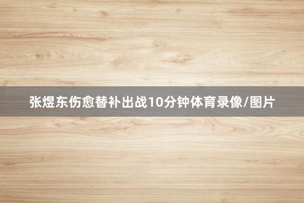 张煜东伤愈替补出战10分钟体育录像/图片