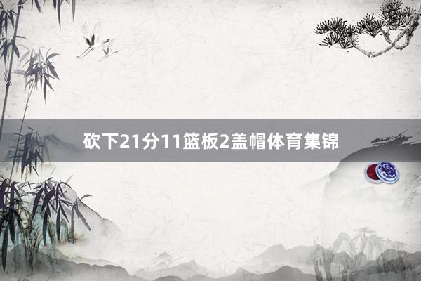 砍下21分11篮板2盖帽体育集锦