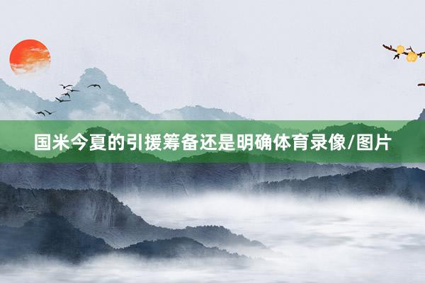 国米今夏的引援筹备还是明确体育录像/图片